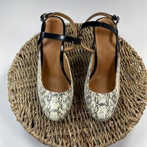 Bill Blass, Snake llia Print Pumps, Rounded Toe, Thin Rectangular Heel, Size 6